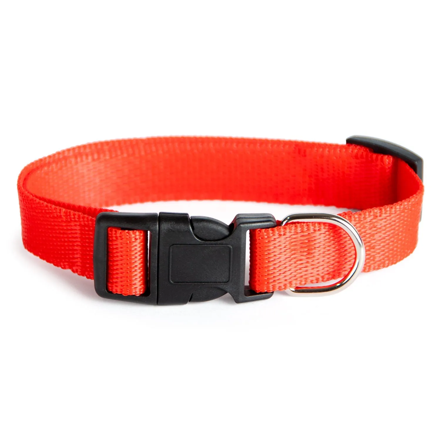 Adjustable Nylon Dog Collar, Assorted Colors, 15"-18"