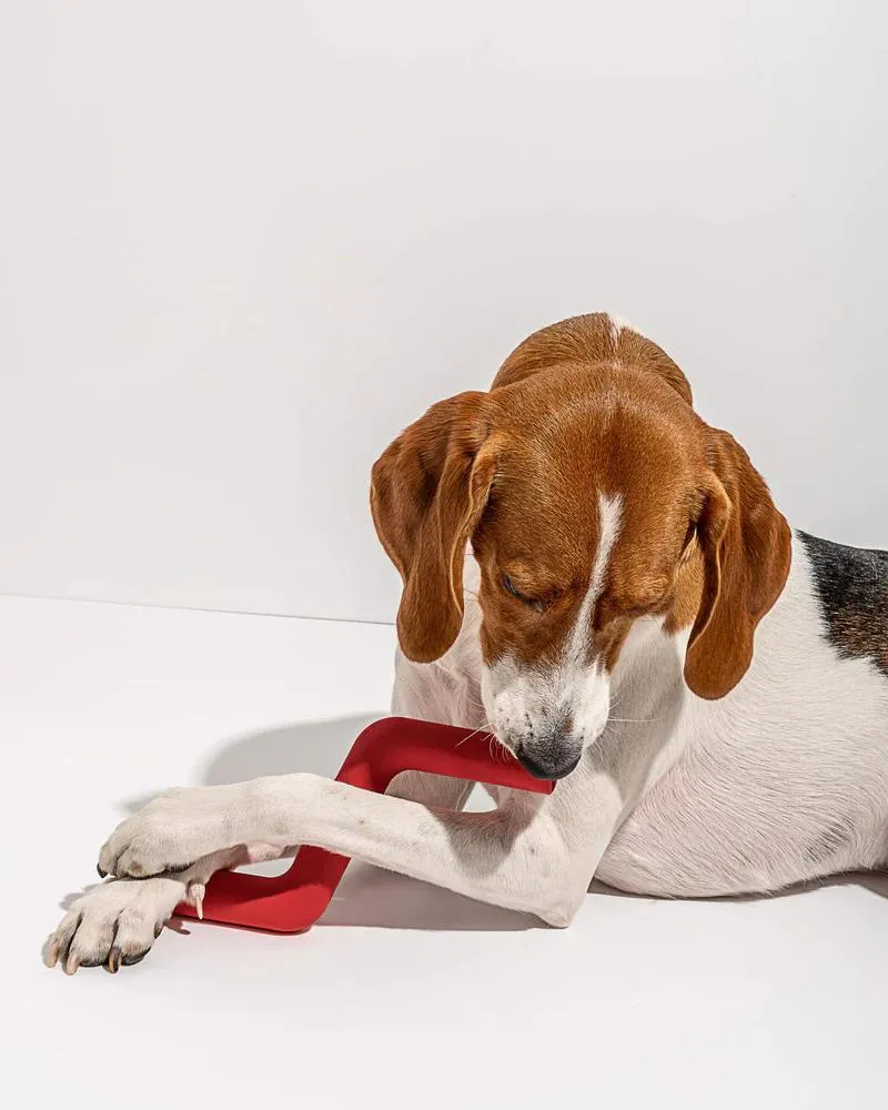 Bolt Bite Dog Toy in Strawberry Red