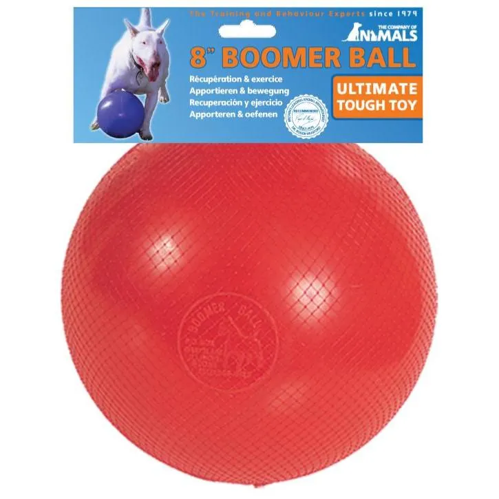 Boomer Ball Puncture Proof Pursuit Dog Toy