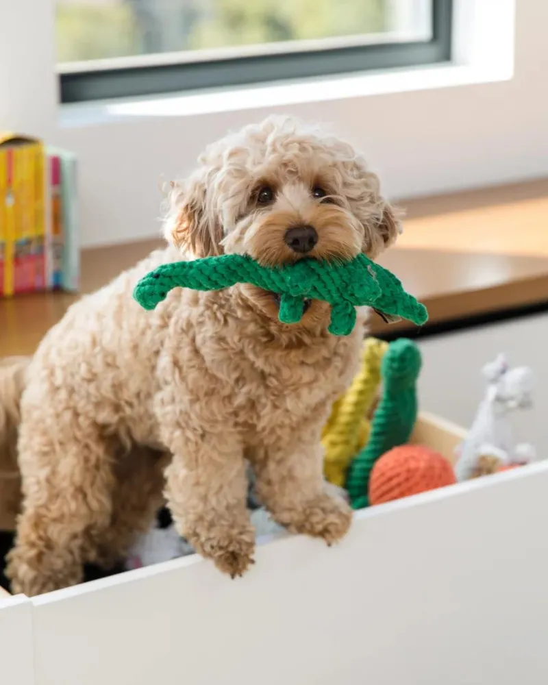 Brent the Brontosaurus Rope Dog Toy