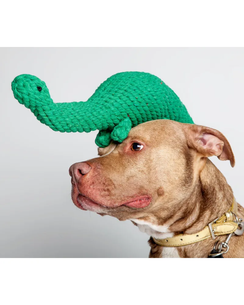 Brent the Brontosaurus Rope Dog Toy