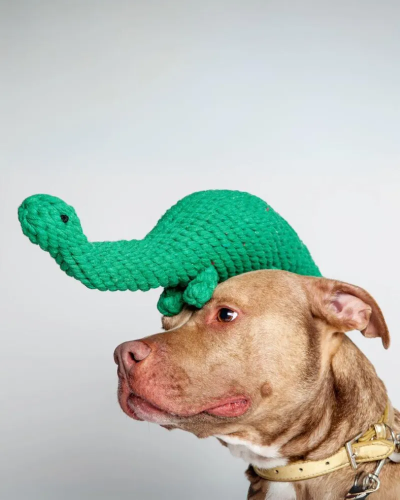 Brent the Brontosaurus Rope Dog Toy