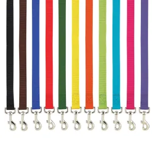 Casual Canine Nylon Leash Leads 6 ft x 5/8 in