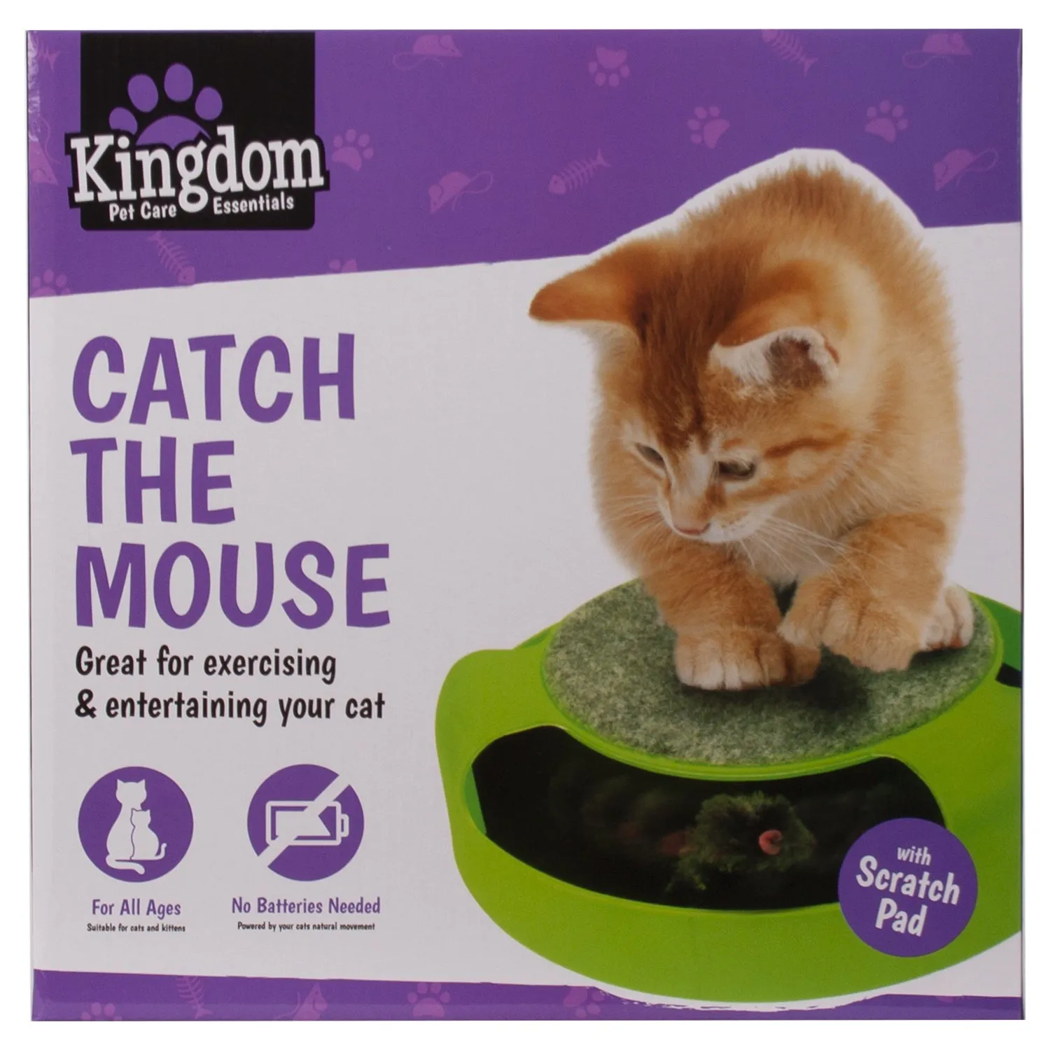 Catch The Mouse Toy