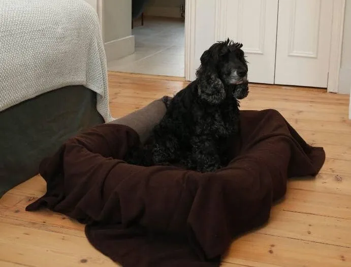 Copper Pet Bed