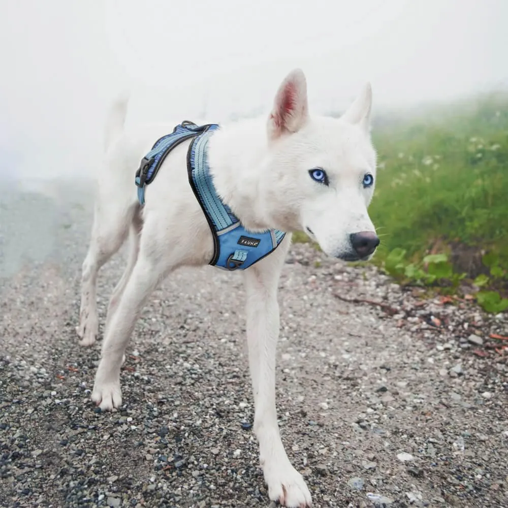 Fauna® Comfort Luxury Blue Dog Harness - S/M/L