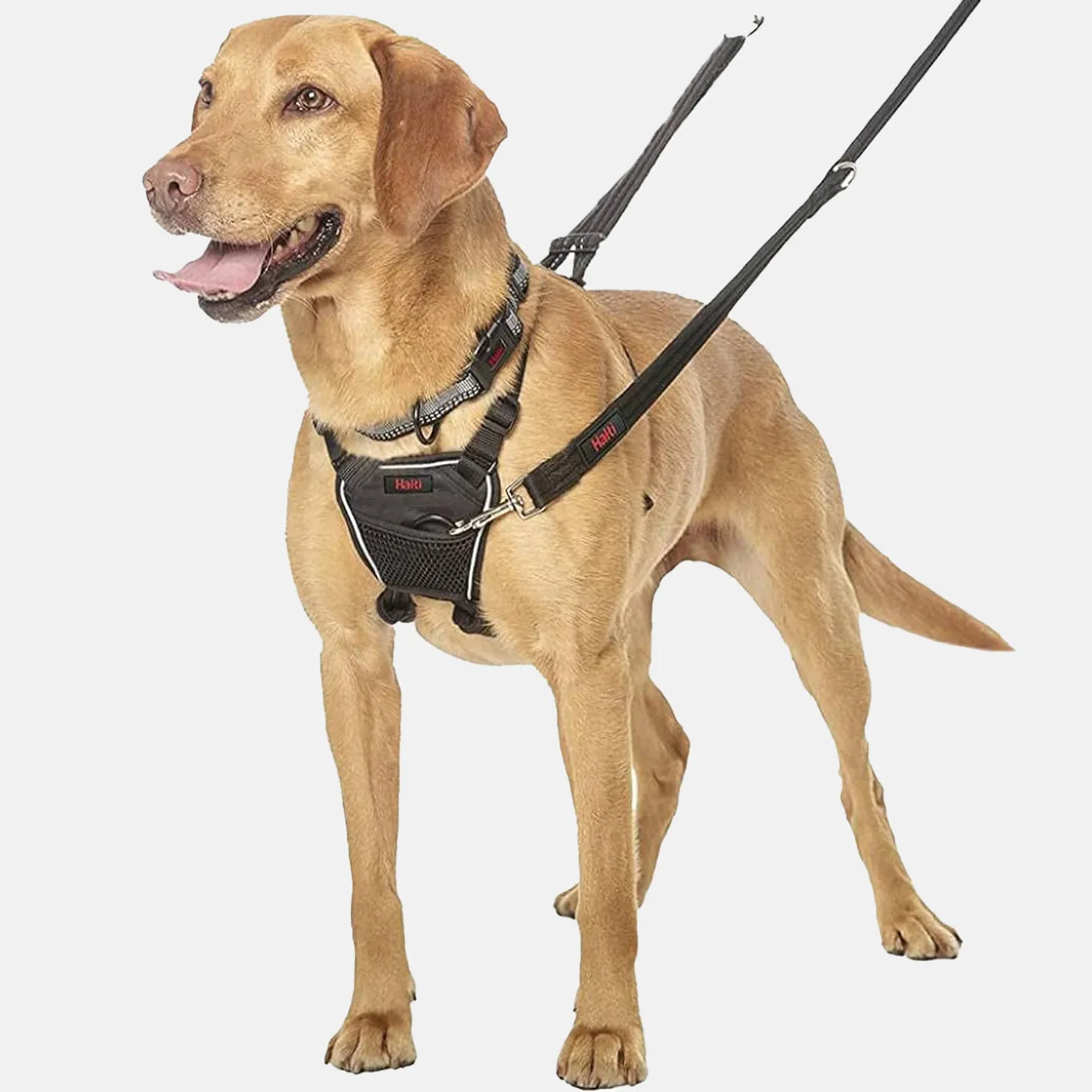 Halti No Pull Dog Harness