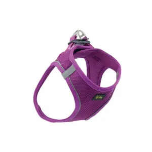 Happy Pet Go Walk Harness