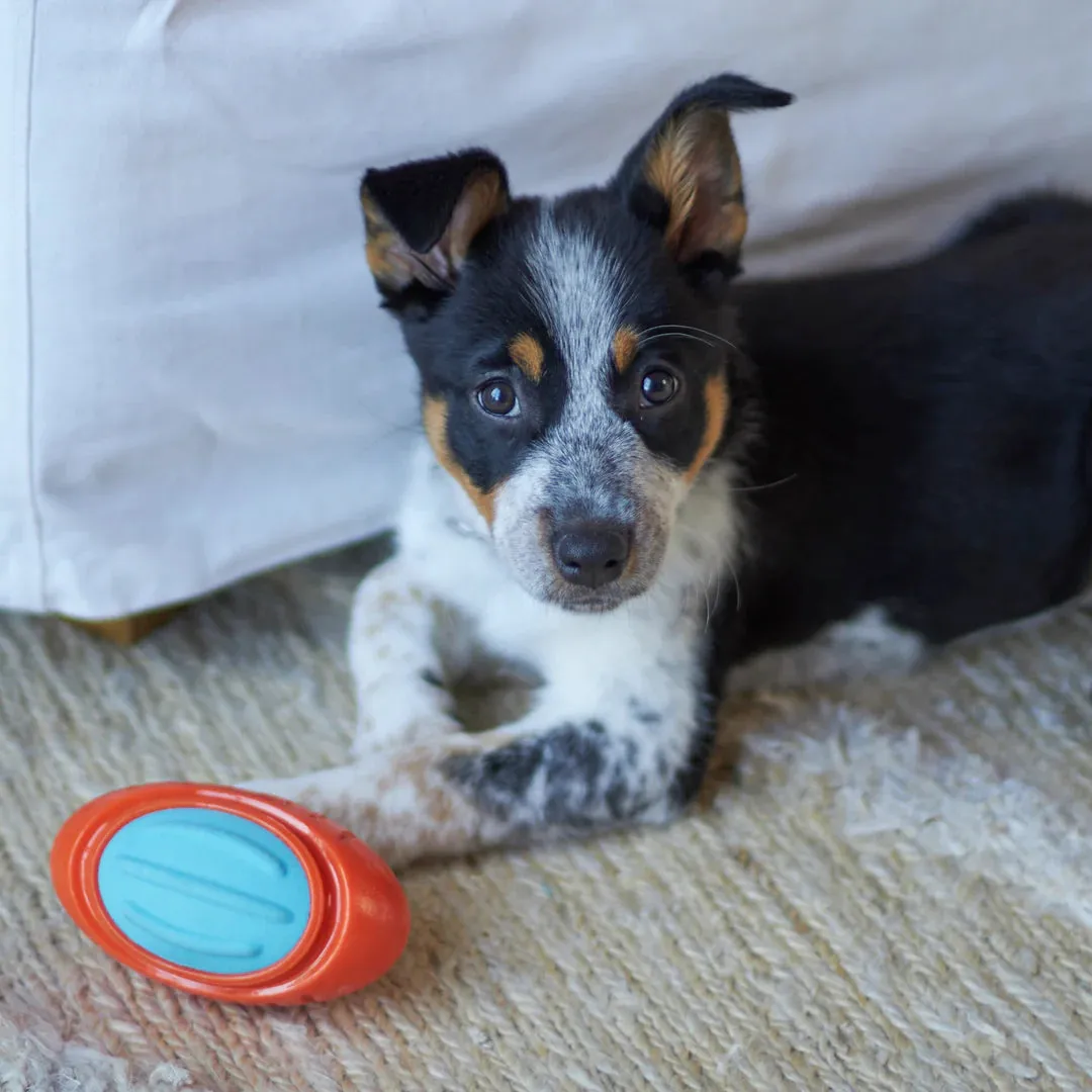 Kazoo Extreme Play Tough Footy Dog Toy Medium