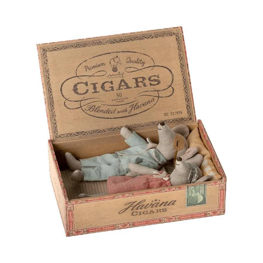 Mum   Dad Mice in Cigarbox