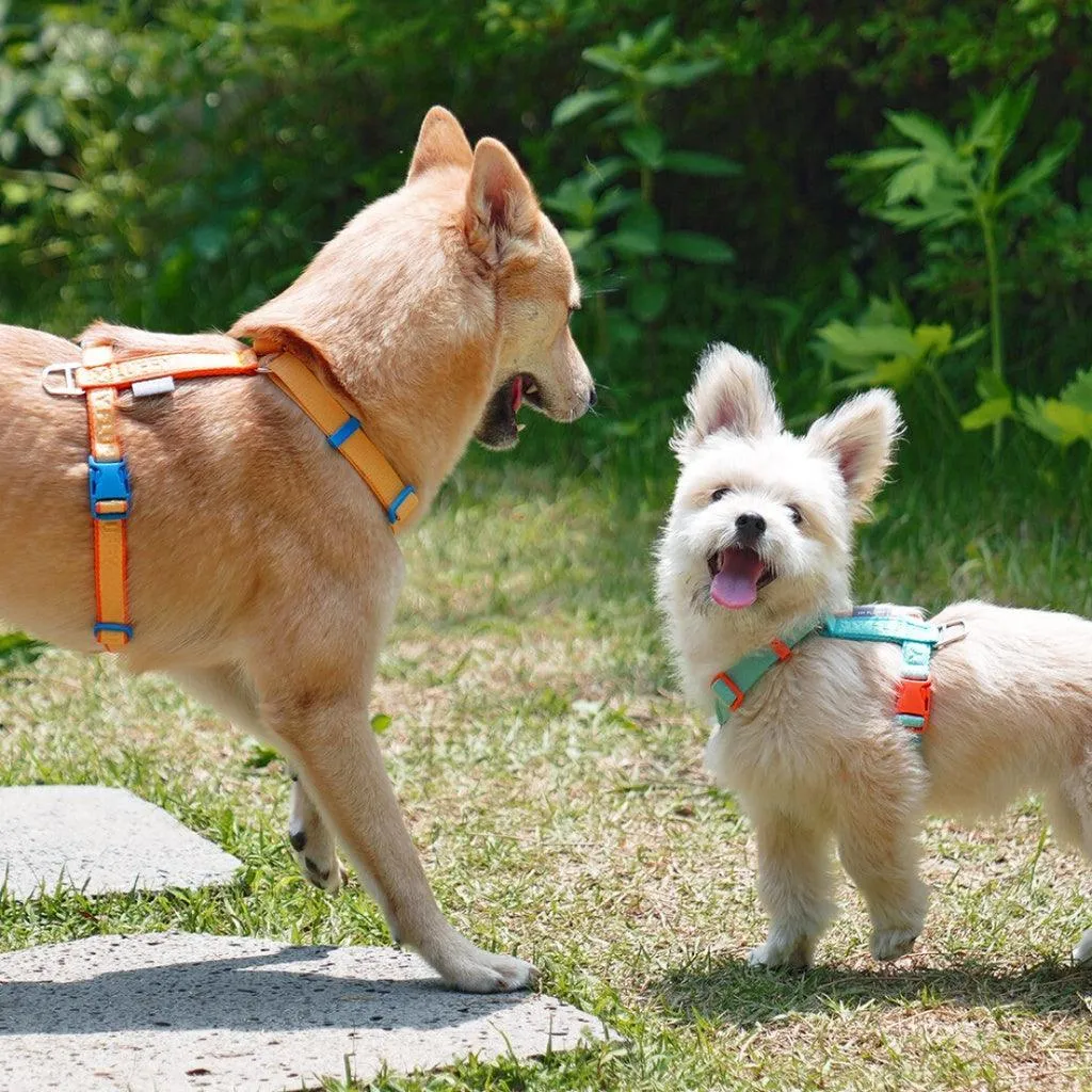 My Fluffy - Fit Band Harness (Yellow Orange)