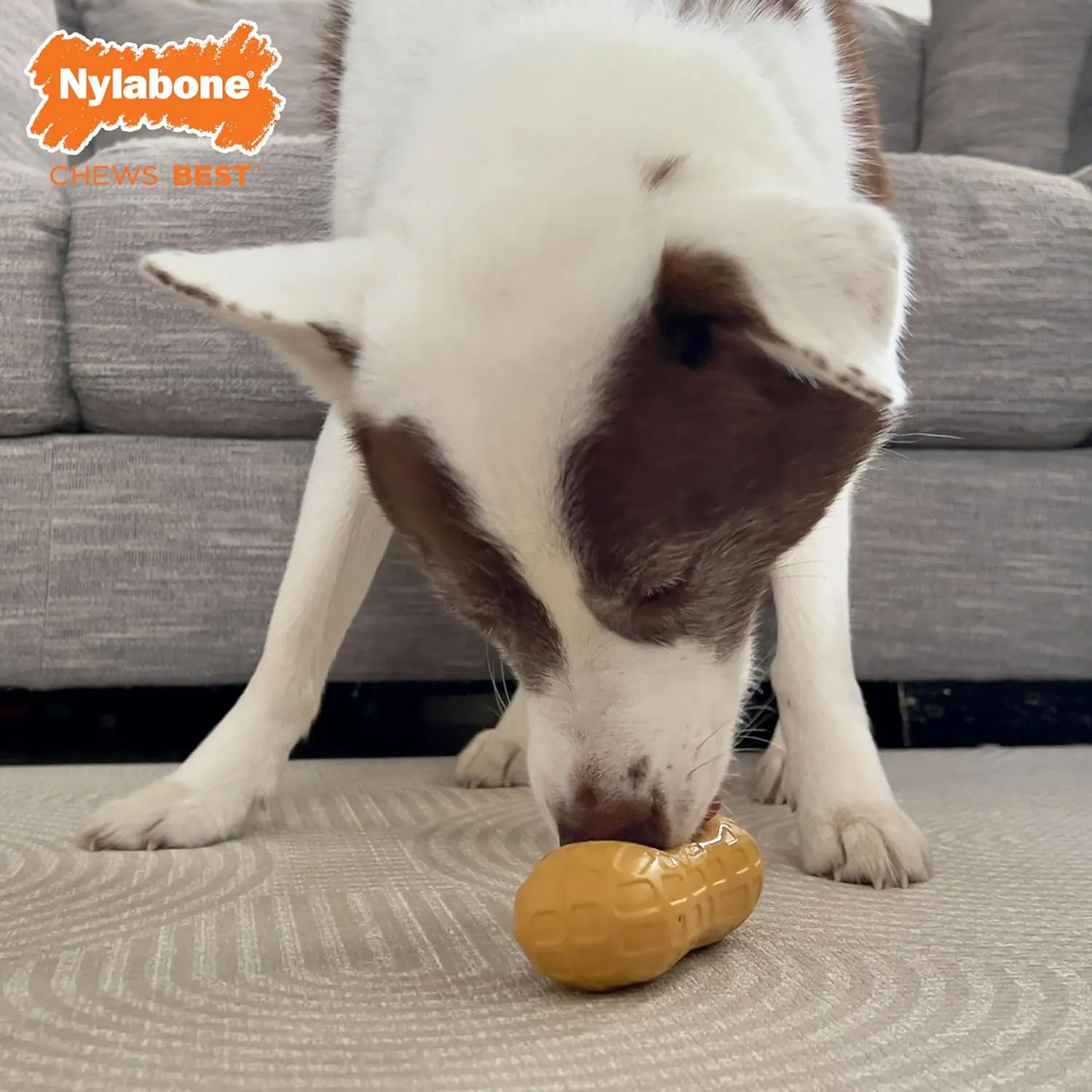 Nylabone Strong Chew Fillable Peanut Dog Toy