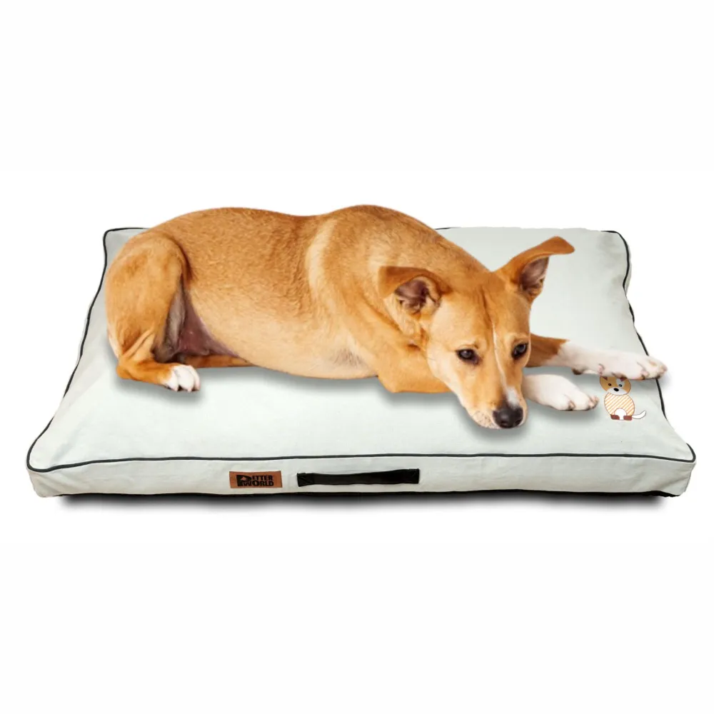 Petter World Comfort Flat Cushion Bed for Dogs (Celeste Green)