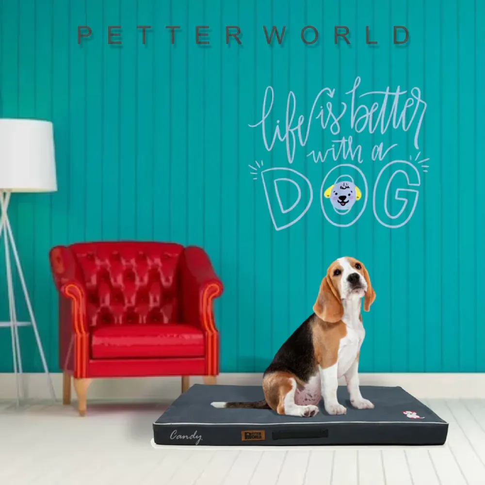 Petter World Comfort Flat Foam Bed for Dogs (Autumn Grey)