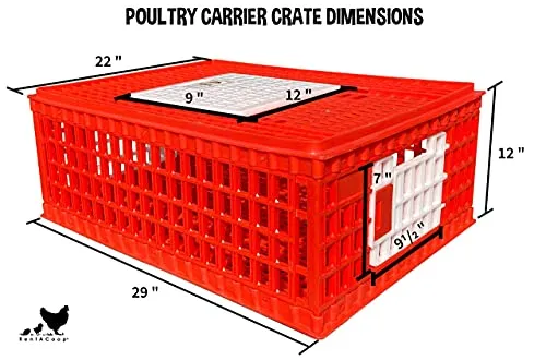 Poultry Carrier Crate 29" L x 22" W x 12" H for Chickens