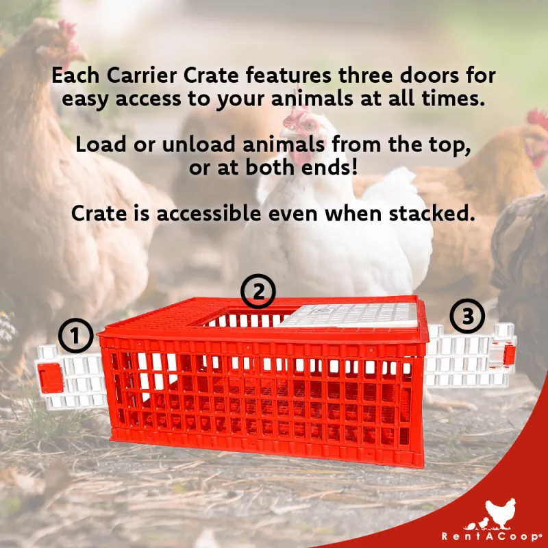 RentACoop Stackable Poultry Carrier Crate (Pack of 4)