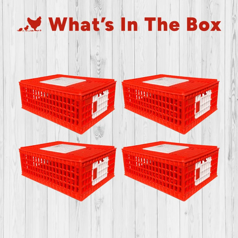 RentACoop Stackable Poultry Carrier Crate (Pack of 4)