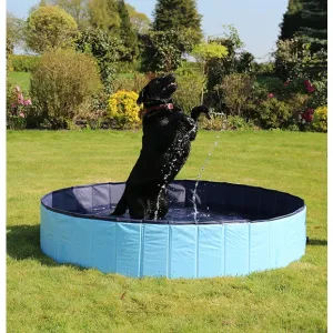 Rosewood Foldable Dog Pool