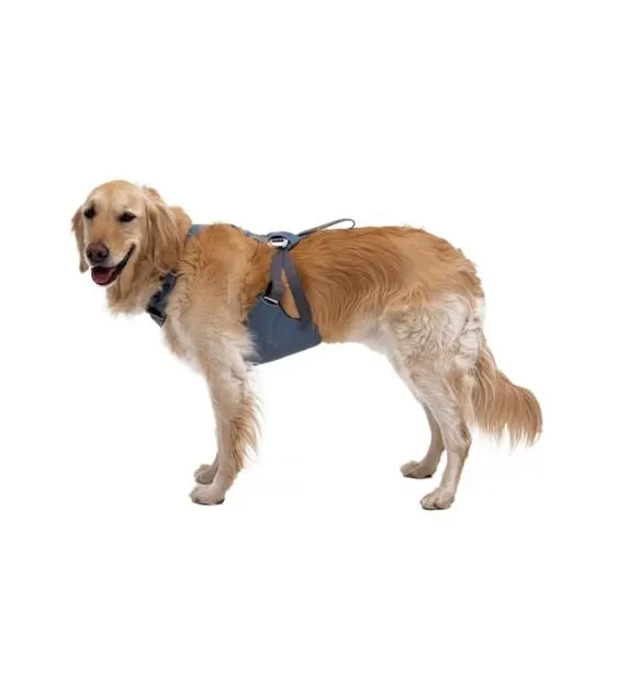 Ruffwear Load Up™ Safety Dog Car Harness (Slate Blue)