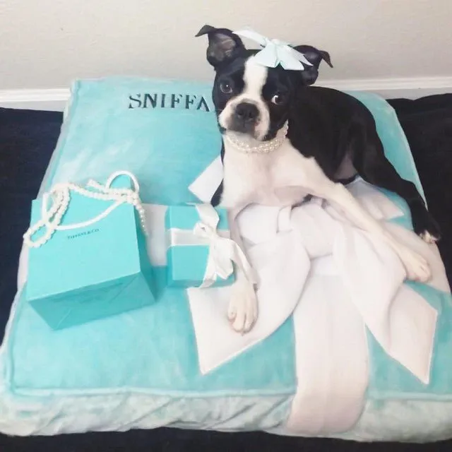 Sniffany & Company Bed