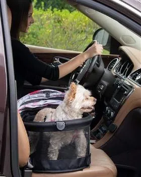 VIEW 360 Pet Carrier & Car Seat