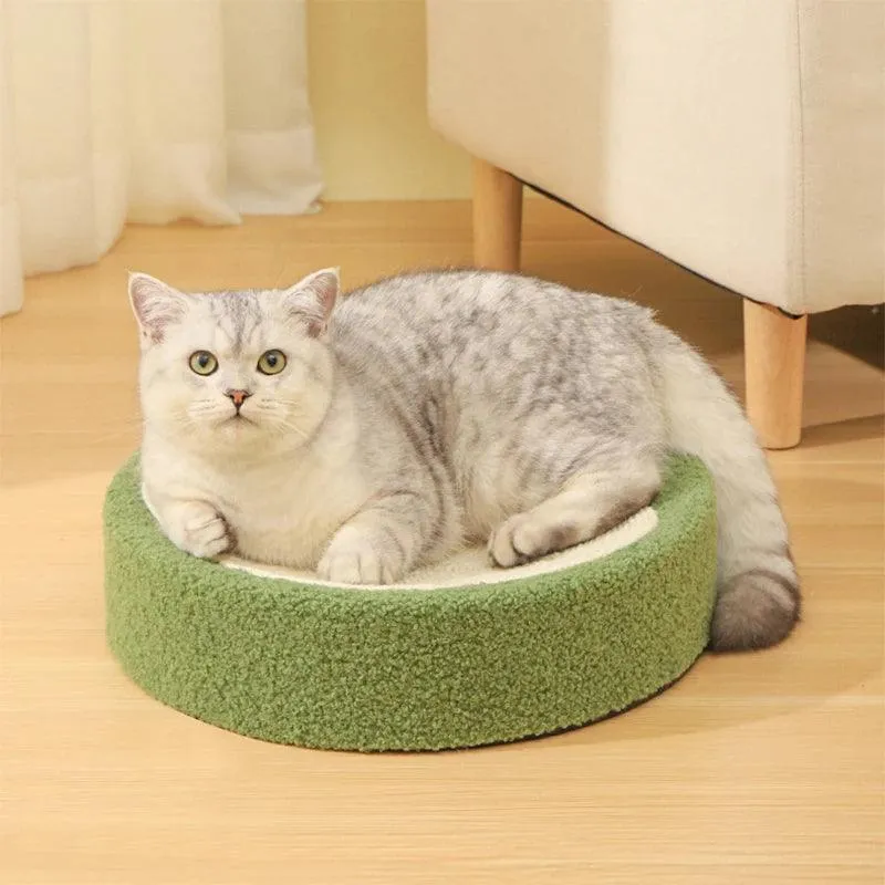 Whisker Whirl Cat Bed Scratcher