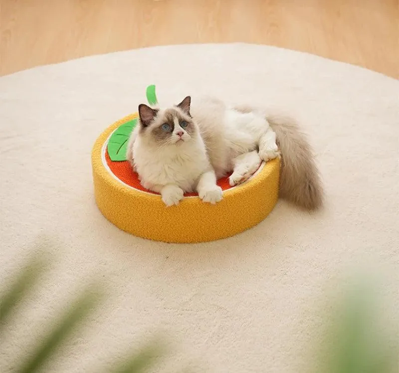 Whisker Whirl Cat Bed Scratcher